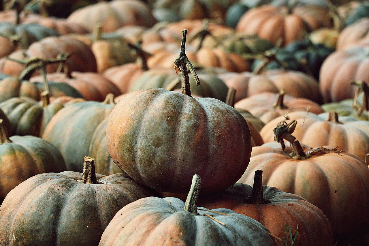 10 Simple Crafts for Celebrating Thanksgiving with Kids